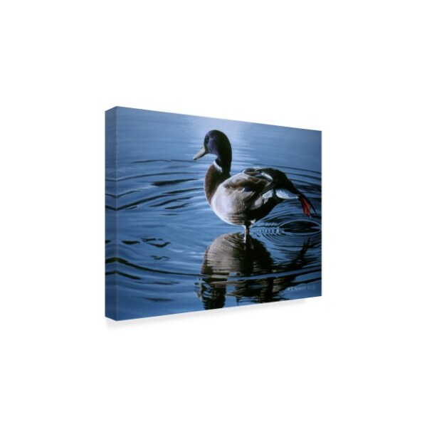 Ron Parker 'Morning Stretch' Canvas Art,24x32